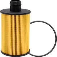 P40147 &eacute;l&eacute;ment filtrant pour l'huile - Baldwin Filters P40147