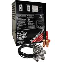 Multi-Battery Series Charger - Associated Equipment 6082