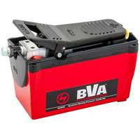 Pompe &agrave; air &agrave; une vitesse avec r&eacute;servoir de 122,1 po³ - BVA Hydraulics PA2000