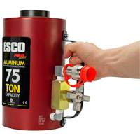 Heavy-Duty Hydraulic Cylinder, 6" Stroke, 75 Ton(s) Capacity, 10000 PSI - Esco 10317