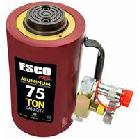 Heavy-Duty Hydraulic Cylinder, 6" Stroke, 75 Ton(s) Capacity, 10000 PSI - Esco 10317