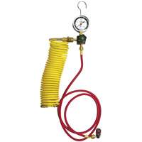 Automotive A/C Nitrogen Leak Test Kit with Regulator - CPS NITROKITG