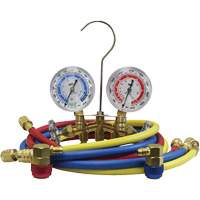 Automotive Manifold Gauge Set with Economy Couplers - Mastercool 66661