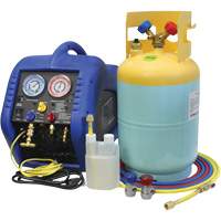 Syst&egrave;me de r&eacute;cup&eacute;ration pour climatiseur automobile - Mastercool 69110
