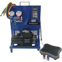 Single-Stage 6 CFM Charging Station - Mastercool 91585-B