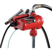 12V DC Fuel Transfer Pump with Nozzle - Fill-Rite FR8