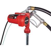 12V DC Fuel Transfer Pump with Nozzle - Fill-Rite FR8