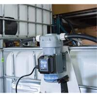 Pompe de transfert de fluide d'&eacute;chappement diesel (DEF) 115 V CA avec support pour cuve GRV et pistolet - Fill-Rite DF120CAN520