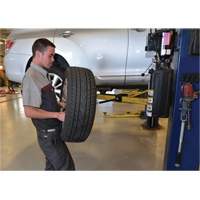 Ensemble Wheel Arm avec capacit&eacute; de 45 kg - Omega Lift 92100