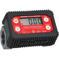Compteur num&eacute;rique &agrave; 4 chiffres pour transfert de carburant 2-35 gal/min - Fill-Rite TT10AN