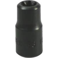 E-8 Torx&reg; Socket - LISLE 26800