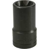 E-20 Torx&reg; Socket - LISLE 26870