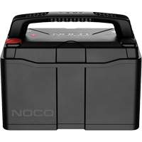 Group 31 120Ah Lithium-Ion LiFePO4 Dual-Purpose Battery - NOCO NLX31