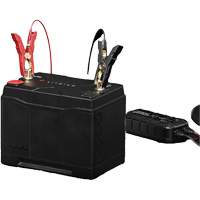 Group 31 120Ah Lithium-Ion LiFePO4 Dual-Purpose Battery - NOCO NLX31