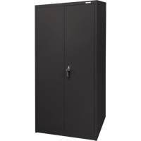 Armoire d'entreposage, Acier, 4 Tablettes, 66" h x 30" la x 15" P, Noir - KLETON 