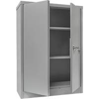 Armoire de rangement &agrave; hauteur de comptoir, Acier, 2 Tablettes, 42" h x 30" la x 15" P, Gris - KLETON 