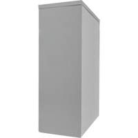 Armoire de rangement &agrave; hauteur de comptoir, Acier, 2 Tablettes, 42" h x 30" la x 15" P, Gris - KLETON 