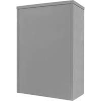 Armoire de rangement &agrave; hauteur de comptoir, Acier, 2 Tablettes, 42" h x 30" la x 15" P, Gris - KLETON 