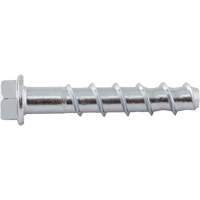 Boulons Wedge Bolts, Acier au carbone, 3/8" x 2-1/2" - Powers PFM1411220