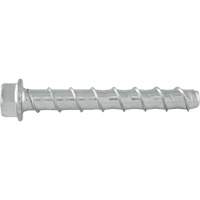 Wedge Bolts, Carbon Steel, 5/8" x 5" - Powers PFM1411600