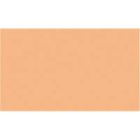 Cales minces chromocod&eacute;es en plastique - Precision Brand 44670