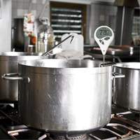 Thermom&egrave;tre &agrave; friture/ bonbons, Contact, Num&eacute;rique, 14-428°F (10-220°C) - BIOS DT155