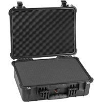 Protector Equipment Case, Hard Case - Pelican 1520-000-110