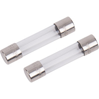 Fusibles de rechange pour fils d'essai - Reed Instruments R1020-FUSE