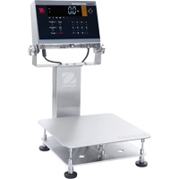 Defender 6000 Washdown Bench Scale, 50 lbs. Capacity, 11-4/5" L x 11-4/5" W - Ohaus 30575565