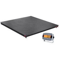 Balances de plancher Defender 3000, Capacit&eacute; de 5000 lb, 5' lo x 5' la - Ohaus 30716508