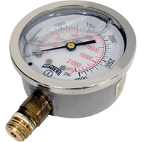 Stainless Steel Pressure Gauge, 2-1/2" , 0 - 3000 psi, Bottom Mount, Liquid Filled Analogue - Winters PFQ811