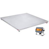 DEFENDER 3000 Washdown Floor Scale, 5000 lbs. Capacity, 48" W x 48" L - Ohaus 30837606