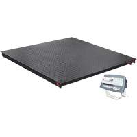 DEFENDER 5000 Floor Scale, 5000 lbs. Capacity, 48" W x 48" L - Ohaus 30837699