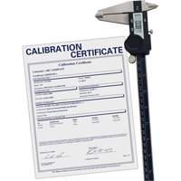 Digital Caliper with Traceable Certificate, 0.0005" (0.01 mm) Resolution, 0" - 12" (0 mm - 300 mm) Range - Reed Instruments R7412-NIST