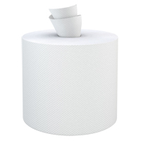 Everest Pro Paper Towel Rolls, 2 Ply, Centre Pull, 500' L - Sunset Converting Corporation CP600