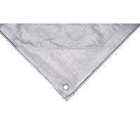 B&acirc;che, Super robuste, Argent, 60' x 30' x 12 mils - KLETON 
