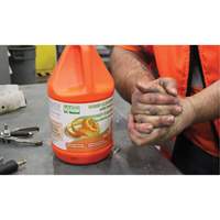 Nettoyant pour les mains &agrave; l'orange, Pierre ponce, 3,6 L, Cruche, Orange - Produits d’entretien RMP 