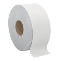 Pro Select™ Toilet Paper, Jumbo Roll, 2 Ply, 500' Length, White JH127 | SCN Industrial