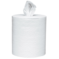 Paper Hand Towel Rolls