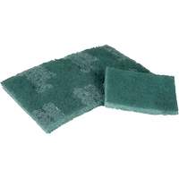 Scrubber Pad, 3" L x 4-1/2" W - 3M 7100332099