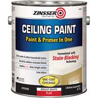 Ceiling Paint & Primer in One, White, Very Flat, 3.78 L, Gallon - Zinsser 254065