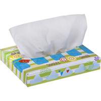 Papiers-mouchoirs pour enfants de Kleenex, 2 pli, 8,4" lo x 5,5" la, 40 feuilles/boîte - Kimberly-Clark 21195