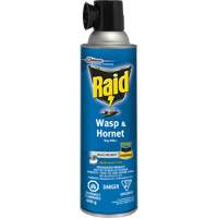 Raid&reg; Wasp & Hornet Bug Killer, 400 g, Solvent Base - SC Johnson 10062300017765