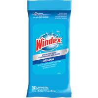 Windex&reg; Glass & Surface Wipes, Packets - SC Johnson 10059200001284