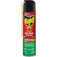 Insecticide destructeur de nids de fourmis Raid Ext&eacute;rieur, 400 g, Canette a&eacute;rosol - SC Johnson 10062300618054