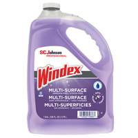 Windex&reg; Non-Ammoniated Multi-Surface Cleaner, 3.8 L, Jug - SC Johnson 10019800708860
