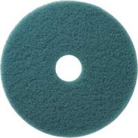 Tampons &agrave; polir pour planchers Aqua, 21", Brunissage, Aqua - Americo 402321