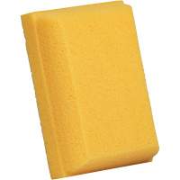 &eacute;ponge &agrave; coulis, Coulis, 5" la x 7" l - M2 Professional SP-E800