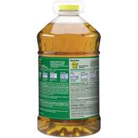 Nettoyant pour vitres et surfaces multiples Pine Sol, 4,25 L, Cruche - Clorox 55500011667