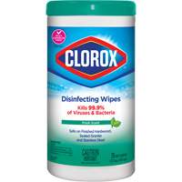 Lingettes d&eacute;sinfectantes, 75 lingettes - Clorox 55500016099